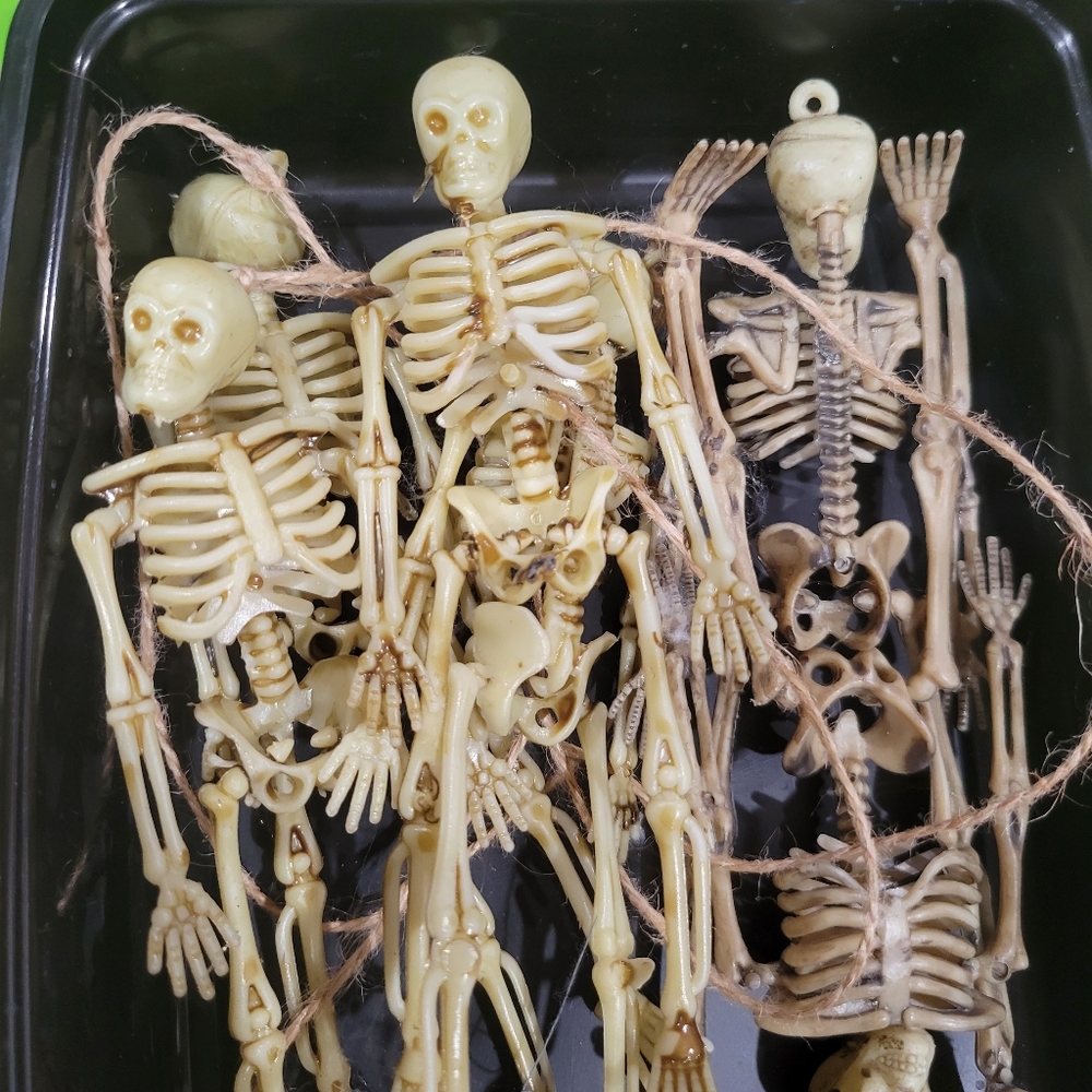 6 Flexible Skeleton Fidget Toy / Decoration - A Perfect Halloween Decoration!